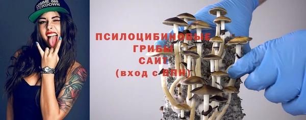 дживик Арсеньев