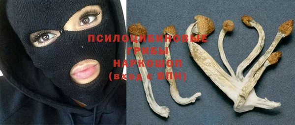 спиды Армянск