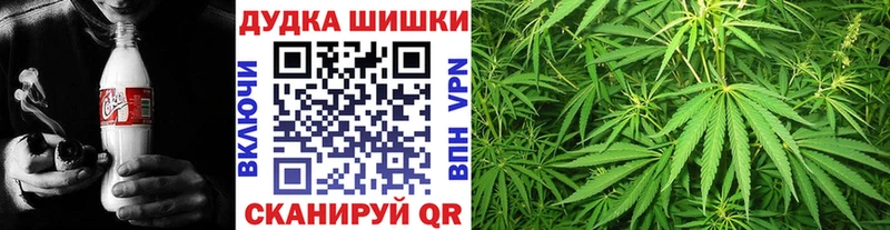omg зеркало  Белая Холуница  Конопля семена 